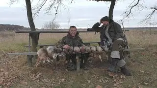 EXCELLENT HUNTING FOR HARE, DUCK AND FOX!!!! DUCK IN HARE - JUST AWESOME!!!