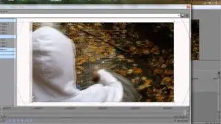 Sony Vegas | How to Mirror Video