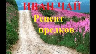 Иван чай (кипрей ).Старинная и правильная обработка .Рецепт предков