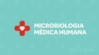 Você Sabia? - Biologia Molecular pt.3