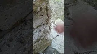 7 сентября 2024 г.
