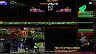 ВЛАСТЕЛИН КОЛЕЦ ОНЛАЙН 2024 [HARD 9+ RESHADE] ►🐈🐈 ДИКОЛЕСЬЕ И ТД 🤪 ;)