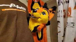Brushing my fursuit after washing