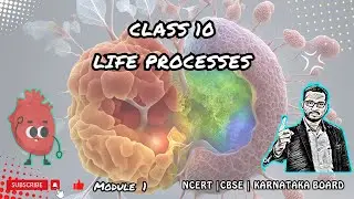 Complete Guide to Life Processes in Class 10 NCERT | Module 1