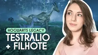 COMO CONSEGUIR O TESTRÁLIO | GAMEPLAY HOGWARTS LEGACY
