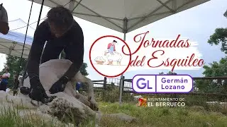 JORNADAS del ESQUILEO [El Berrueco] 4K - germánlozano.es