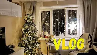 VLOG: Новый год! Новости- хорошие и плохие.