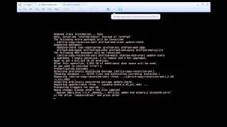 Server Setup (Debian 7 with Windows Server 2008 R2)
