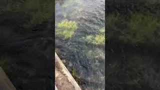 Река, вода, релаксация