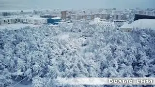 Белые сны