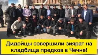 Дидойцы совершили зиярат на кладбища предков в Чечне: Белгатой, Тазен-Кала, Элистанжи.