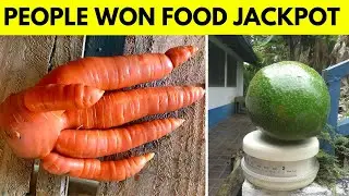 People Absolutely Won The Food Lottery