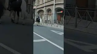 Санкт-Петербург