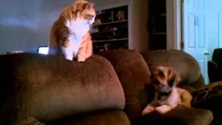 Lexi and Jack 2