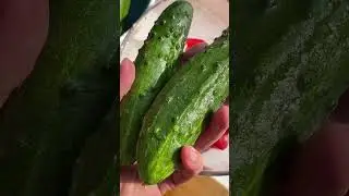 Салат с добавками или без? Какой салат на самом деле вкуснее? 