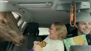 Best Fails of the Year So Far 2023
