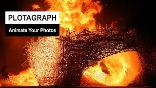 Animate Your Photos with Plotagraph