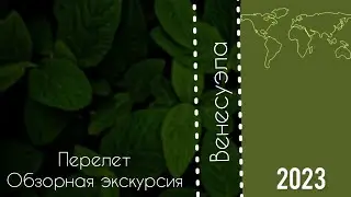 Путешествие или испытание? 56 часов в пути или как я добиралась до Венесуэлы.