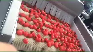 Potato or sweet potato de-mud cleaning machine