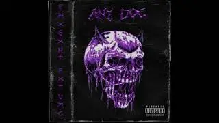 PRXSXNT FXTURE - ANY DOE