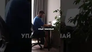 Встал - упай