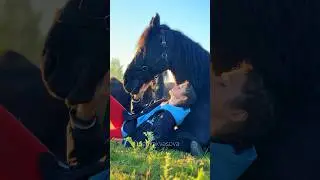 Встретили первый рассвет в полях с любимым 💔 #конныйблог #horse#конныйтуризм#лошади #конныепрогулки
