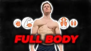 Full Body Workout!