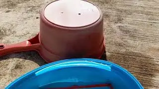 Making rainbow by using a mirror and a basin of water