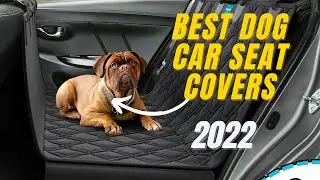 Top 4: Best Dog Car Seat Covers 2022 | Best Seat Covers For Pets