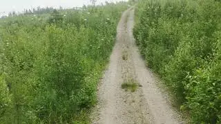 Seikkailua Seppälänvuorella.
