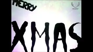 Merry Christmas and Happy Holiday Season Attraction Shadow