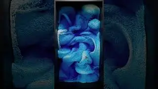 UE5 Niagara Fluids - Fluid Dynamics Study