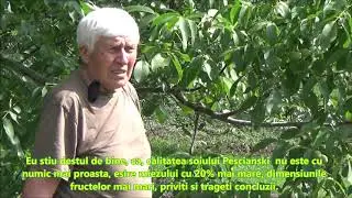Raport video despre situatia la SRL Gospodarul Rediu  Iunie 2020