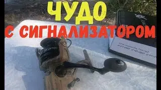 Чудо с сигнализатором/ Anaconda Jungle 7000