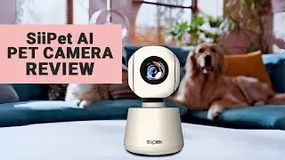 SiiPet AI Pet Camera Review | True AI Pet Behavior Analysis Camera