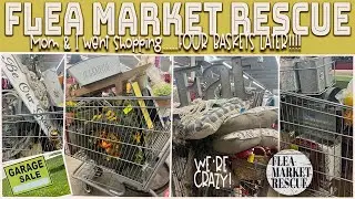 HUGE THRIFT STORE SHOPPING HOME DECOR HAUL WITH MOM 2024