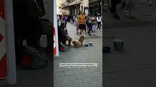 А вы верите, что с ними все хорошо?🥺 
