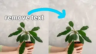 How to remove text from an image in Photoshop 