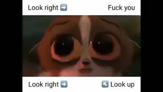 fuck you