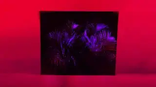 Biyo - Seasons