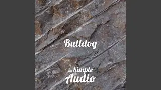 Bulldog