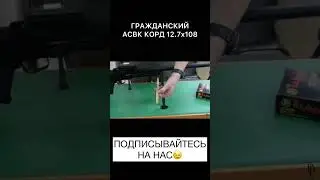 ГРАЖДАНСКИЙ АСВК КОРД 12.7х108 #рекомендации #охота #оружие #рыбалка
