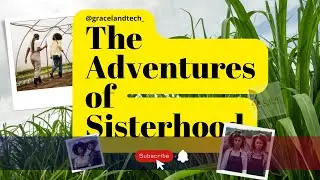 The Adventures of Sisterhood 💦🧚‍♂️