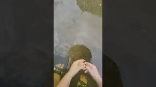Kid loves to feed minnows in the creek