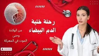 المعركة الخفية من الولادة حتى الموت: كيف تلتهم خلايا الدم البيضاء الفيروسات حرفياً؟