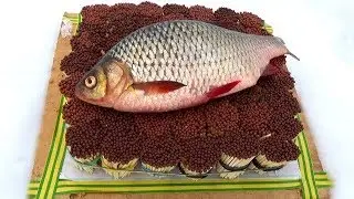 EXPERIMENT: 10,000 MATCHERS vs FISH
