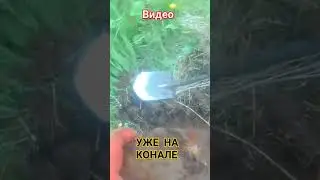 КОПАЕМ ДАЛЬШЕ.😁😁😁🤑🤑🤑🤑🤝✊