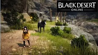 Devastiamo un po' - Black Desert Online - Tamer PvM Gameplay ITA