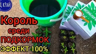 СУПЕР МОЩНЕЙШАЯ ПОДКОРМКА для рассады🌱которая тормозит в росте. СУПЕР ЭФФЕКТИВНО НО НЕМНОЖКО ДОРОГО.