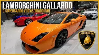 A LAMBORGHINI GALLARDO RAIZ V10 !! - Lamborghini Gallardo LP560-4